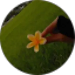 Review From Tinoek Setiyanti