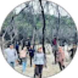 Review From shellvy carolina