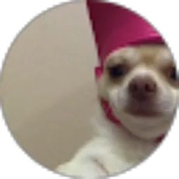 Review From muhamad rduan