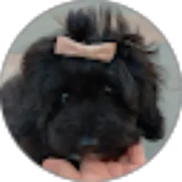 Review From Bonnie Romantica