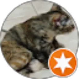 Review From Dhea Putra