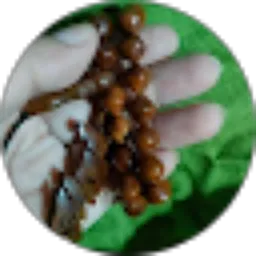 Review From Shaaa ocha