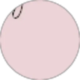 Review From Agustina Eka