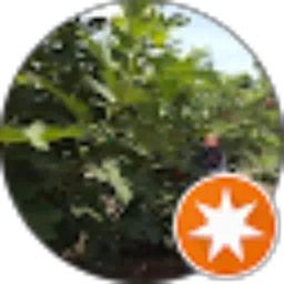 Review From Ali Tin birdfarm