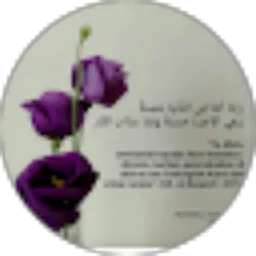 Review From Kessy Aja