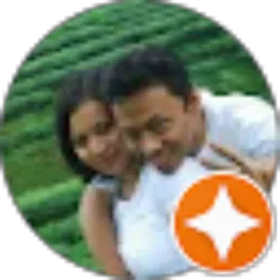 Review From dwi wijanarko