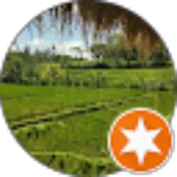 Review From elkana junior