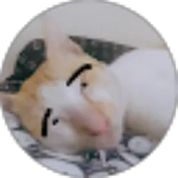 Review From Nuzulul Aqilah Mumtazah