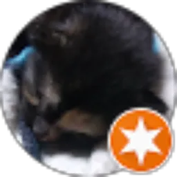 Review From Linda Wahid