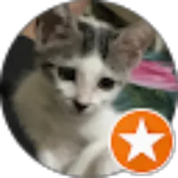 Review From Regita Cahaya Putri