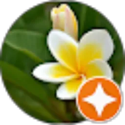 Review From Willyngton Fidrik