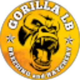 Review From GORILLA KEBON