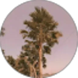 Review From Marcelina P.A