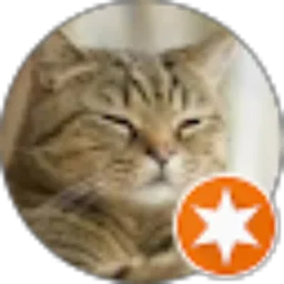 Review From widya eka