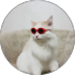 Review From Mochi sipa