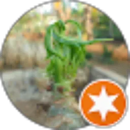 Review From Ahmad Taufik