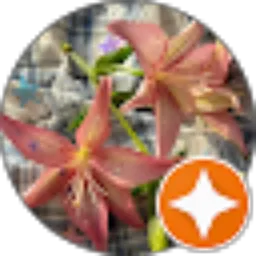 Review From Della Febiyanita