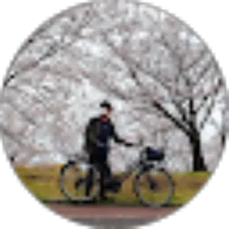 Review From MUH. FARHAN