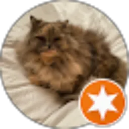 Review From Liyana Fuad