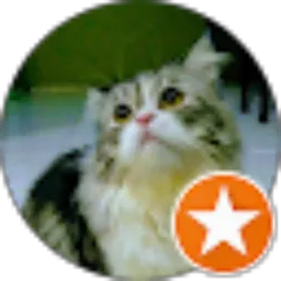 Review From andi rizal