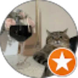 Review From Wirdajati