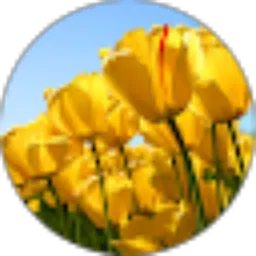 Review From agnes carolina