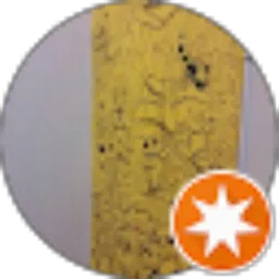 Review From yudi chris