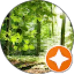 Review From Dimas Yuwan