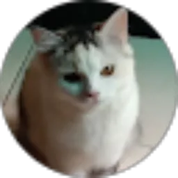 Review From Indria Puspita