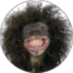 Review From Ivin Ella