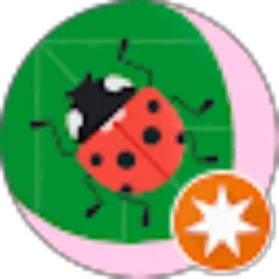 Review From Lisa Puspita