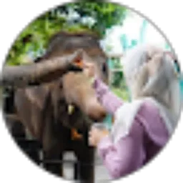 Review From Nanda Nansya