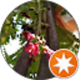 Review From mas soenoe39