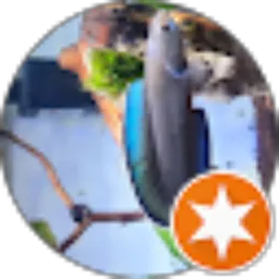 Review From Mban Uyee (mban)