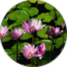 Review From herry andiansyah