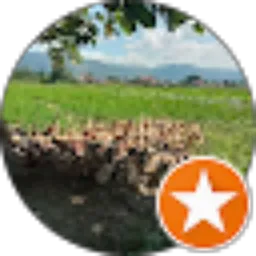 Review From Zurman 76