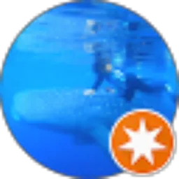 Review From andreas bimar setiari