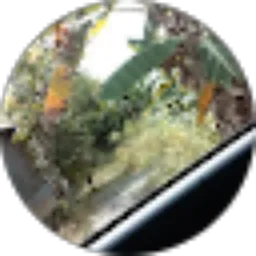 Review From Santi Santi