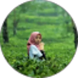 Review From Endah fajarwati Suwarti