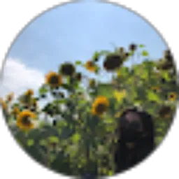 Review From Mezzaluna w