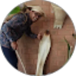 Review From Maman Armain Syahbia