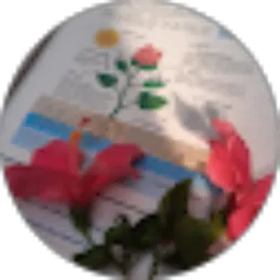 Review From Selvia Ratna