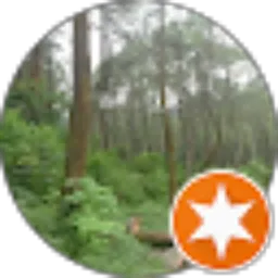 Review From Adrian satya nagara