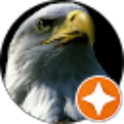 Review From Aries King