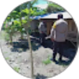 Review From Alex suharto aupe