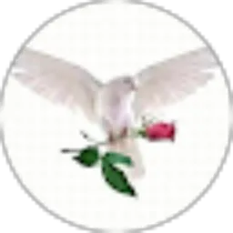 Review From Akhmad Rizani