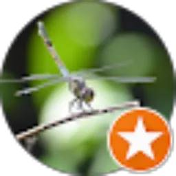 Review From nathanael kuntadi