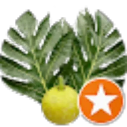 Review From muhammad hanif