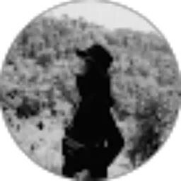 Review From Noni Aprilyani