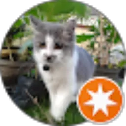 Review From Sandi Prasetya